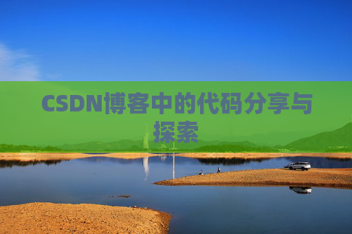 CSDN博客中的代码分享与探索